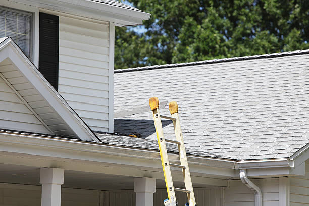 Best Stucco Siding  in Lone Star, TX