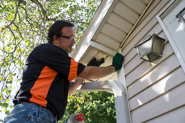 Best Brick Veneer Siding  in Lone Star, TX